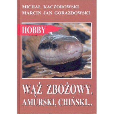 Wąż zbożowy, amurski, chiński... M. Kaczorowski, M. J. Gorazdowski książka HOBBY